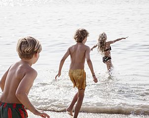 Guest house 631650 - Holiday property Zeeuws-Vlaanderen - Vakantiehuis NV 10 - Beach Resort Nieuwvliet Bad