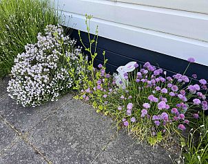 Guest house 631652 - Holiday property Zeeuws-Vlaanderen - Vakantiehuis Beach Resort Nieuwvliet Bad - 1204