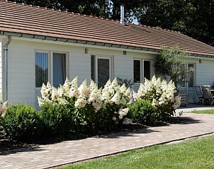 Guest house 631810 • Holiday property Zeeuws-Vlaanderen • Huisje in Eede 