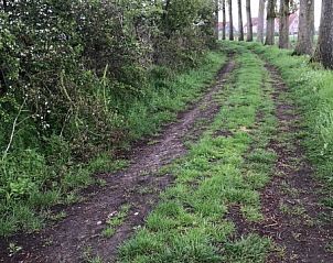 Verblijf 631814 - Vakantiewoning Zeeuws-Vlaanderen - De groene specht