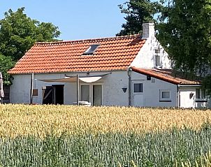 Guest house 632004 - Holiday property Zeeuws-Vlaanderen - Vakantiehuis in Walsoorden