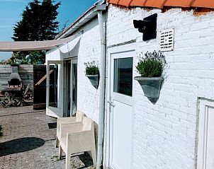 Guest house 632004 - Holiday property Zeeuws-Vlaanderen - Vakantiehuis in Walsoorden