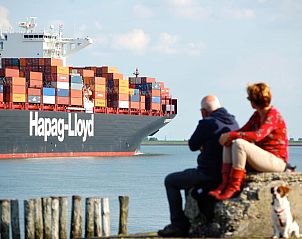 Guest house 632007 - Holiday property Zeeuws-Vlaanderen - Vakantiehuis in Walsoorden