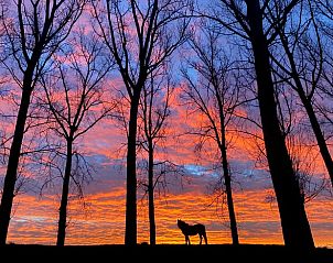 Guest house 632104 - Holiday property Zeeuws-Vlaanderen - Vakantiehuisje in Hengstdijk