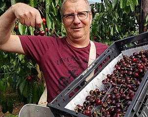 Guest house 632106 - Chalet Zeeuws-Vlaanderen - Vakantiehuisje in Hengstdijk