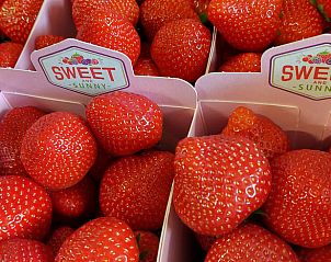 Guest house 632106 - Chalet Zeeuws-Vlaanderen - Vakantiehuisje in Hengstdijk