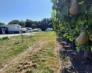 Guest house 632110 - Holiday property Zeeuws-Vlaanderen - Vakantiehuis in Hengstdijk