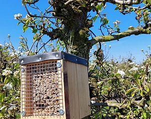 Guest house 632111 - Holiday property Zeeuws-Vlaanderen - Huisje in Hengstdijk