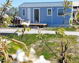 Ferienhaus in Hengstdijk, ein charmantes Ferienhaus in Zeeuws-Vlaanderen mit einer einladenden Terrasse und grner Umgebung.