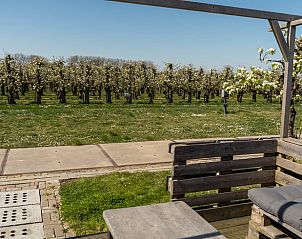 Unterkunft 632112 - Ferienhaus Zeeuws-Vlaanderen - Vakantiehuisje in Hengstdijk