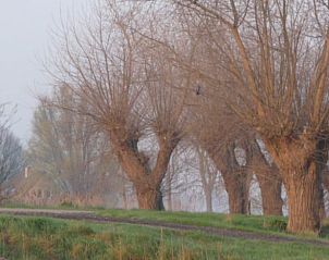 Guest house 632610 - Holiday property Zeeuws-Vlaanderen - Vakantiehuisje in Zuidzande