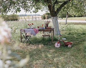 Guest house 632611 - Holiday property Zeeuws-Vlaanderen - Huisje in Zuidzande