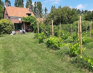 Guest house 632812 • Holiday property Zeeuws-Vlaanderen • Vakantiehuis Camping Cassandria Bad 