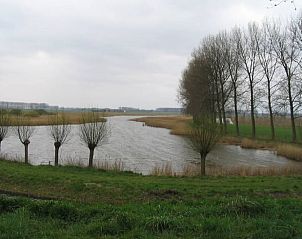 Guest house 633003 - Holiday property Zeeuws-Vlaanderen - Vakantiehuisje in Hulst