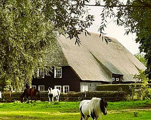 Verblijf 633112 • Vakantiewoning Zeeuws-Vlaanderen • Huisje in IJzendijke 