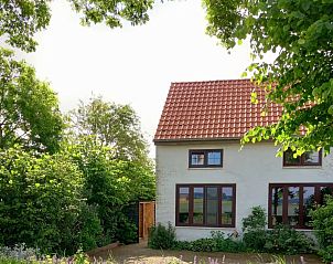 Verblijf 633121 - Vakantiewoning Zeeuws-Vlaanderen - Vakantiewoning 'De Oude School'
