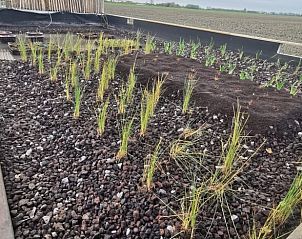 Guest house 634106 - Holiday property Zeeuws-Vlaanderen - Huisje in Waterlandkerkje