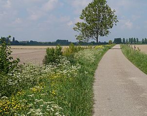 Unterkunft 640203 • Ferienhaus Zuid-Beveland • Huisje in Ovezande 