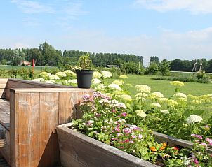 Guest house 640206 - Holiday property Zuid-Beveland - Huisje in Ovezande