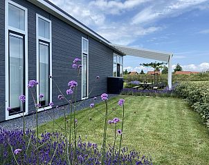 Tuin met lavendel bij Vakantiehuis Waterresort Oosterschelde huisnr. 83 in Wemeldinge, Zuid-Beveland, ideaal voor ontspanning.