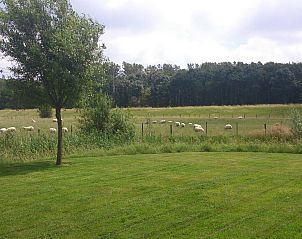 Guest house 6406123 - Holiday property Zuid-Beveland - Familiehuis Oosterschelde