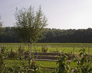 Guest house 6406125 - Holiday property Zuid-Beveland - 4-persoons Premium Zeeuwse Cottage