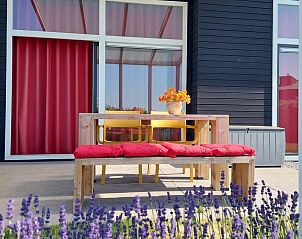 Terras met lavendel bij Vakantiehuis Waterresort Oosterschelde huisnr. 51 in Wemeldinge, ideaal voor ontspanning in de natuur.