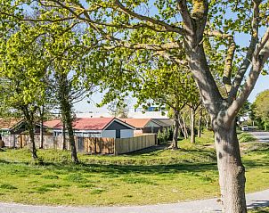 Unterkunft 640705 - Ferienhaus Zuid-Beveland - Vakantiewoning aan zee in Yerseke 43