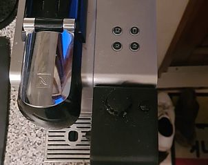 Guest house 640802 - Chalet Zuid-Beveland - 4 Stam