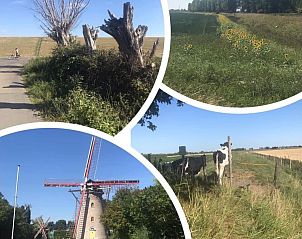 Guest house 640823 - Holiday property Zuid-Beveland - Vakantiehuis Sunshine