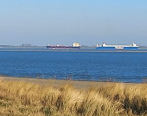 Guest house 640827 - Holiday property Zuid-Beveland - Vakantiehuis Gem�tliches Chalet mit Terrasse