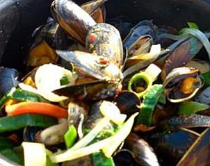 Guest house 641307 - Holiday property Zuid-Beveland - Vakantiehuisje in Kattendijke