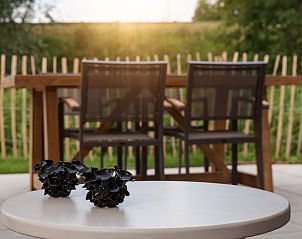 Unterkunft 642014 - Ferienhaus Zuid-Beveland - Vrijstaande woning in Wolphaartsdijk