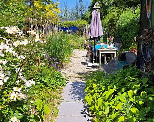 Unterkunft 642034 - Ferienhaus Zuid-Beveland - Huisje in Wolphaartsdijk