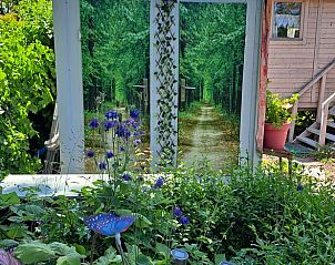 Unterkunft 642034 - Ferienhaus Zuid-Beveland - Huisje in Wolphaartsdijk