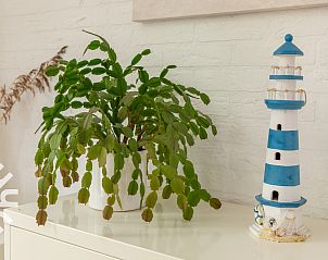 Unterkunft 642037 - Ferienhaus Zuid-Beveland - ZE1543