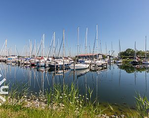 Guest house 642043 - Holiday property Zuid-Beveland - ZE1545