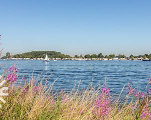 Guest house 642043 - Holiday property Zuid-Beveland - ZE1545