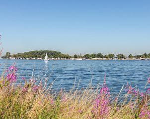 Guest house 642050 - Holiday property Zuid-Beveland - ZE1492