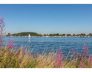 Guest house 642067 - Holiday property Zuid-Beveland - Inlaag 31