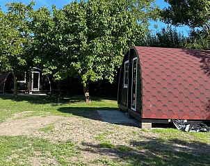 Guest house 642203 - Holiday property Zuid-Beveland - Vakantiehuisje in Borssele