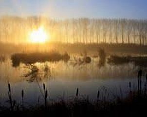 Unterkunft 642502 - Appartement Zuid-Beveland - Appartement Wohnung met terras