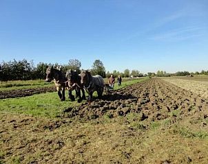 Unterkunft 642502 - Appartement Zuid-Beveland - Appartement Wohnung met terras