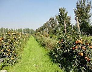 Unterkunft 642502 - Appartement Zuid-Beveland - Appartement Wohnung met terras