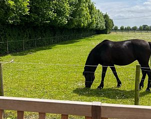 Guest house 642703 - Chalet Zuid-Beveland - Huisje in Kwadendamme