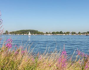 Schitterend uitzicht op het water nabij Vakantiehuis Haus Anni, Hansweert, Zuid-Beveland, met bloemen en natuur.