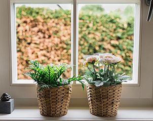 Unterkunft 642901 - Ferienhaus Zuid-Beveland - Vakantiehuis in Lewedorp