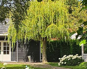 Vakantiehuisje in Lewedorp met groene tuin in Zuid-Beveland, Zeeland.