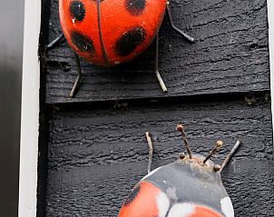 Decoratieve lieveheersbeestjes in Vakantiehuisje in Lewedorp, Zeeland.