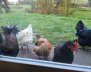 Verblijf 642908 - Vakantiewoning Zuid-Beveland - Vakantiehuisje in Lewedorp